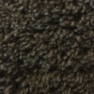 Meet your Posher, Bart